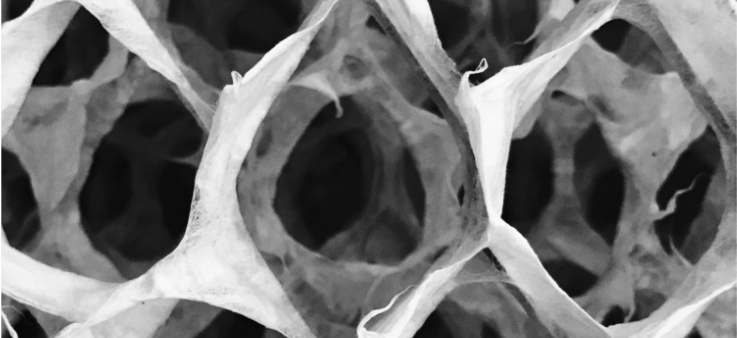 Captura de Tela 2017-11-27 às 23.27.13